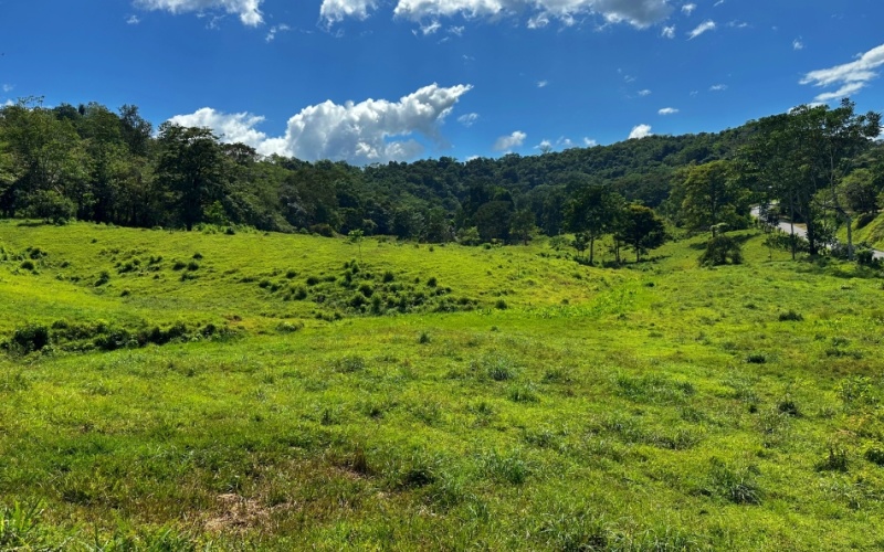 Vista Verde Paradise located on a charming hilltop, Just 40 minutes away are two world-class destinations: Playa Pavones and Playa Zancudo and only 20 minutes from downtown Golfito