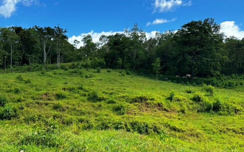 Vista Verde Paradise located on a charming hilltop, Just 40 minutes away are two world-class destinations: Playa Pavones and Playa Zancudo and only 20 minutes from downtown Golfito