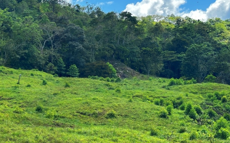 Vista Verde Paradise located on a charming hilltop, Just 40 minutes away are two world-class destinations: Playa Pavones and Playa Zancudo and only 20 minutes from downtown Golfito