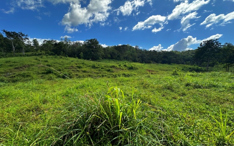 Vista Verde Paradise located on a charming hilltop, Just 40 minutes away are two world-class destinations: Playa Pavones and Playa Zancudo and only 20 minutes from downtown Golfito