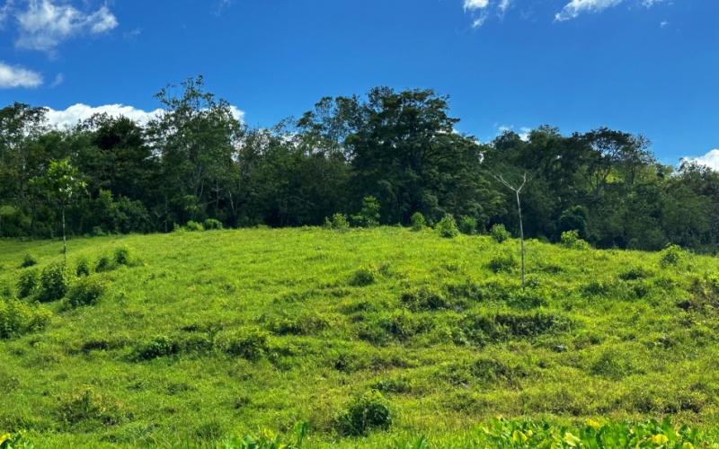 Vista Verde Paradise located on a charming hilltop, Just 40 minutes away are two world-class destinations: Playa Pavones and Playa Zancudo and only 20 minutes from downtown Golfito