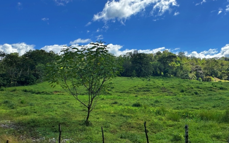 Vista Verde Paradise located on a charming hilltop, Just 40 minutes away are two world-class destinations: Playa Pavones and Playa Zancudo and only 20 minutes from downtown Golfito