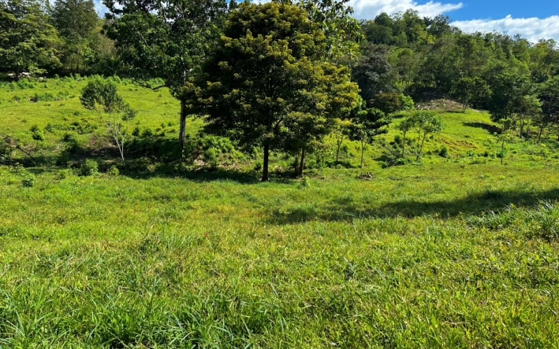 Vista Verde Paradise located on a charming hilltop, Just 40 minutes away are two world-class destinations: Playa Pavones and Playa Zancudo and only 20 minutes from downtown Golfito