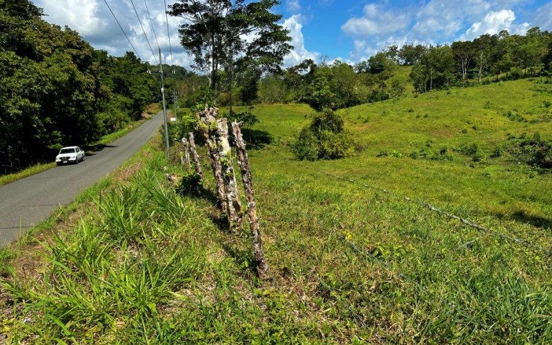 Vista Verde Paradise located on a charming hilltop, Just 40 minutes away are two world-class destinations: Playa Pavones and Playa Zancudo and only 20 minutes from downtown Golfito