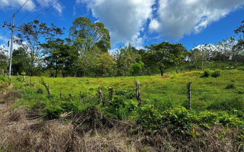 This charming 3,333 m² Cerro Verde Lot combines semi-flat topography with a hilltop location