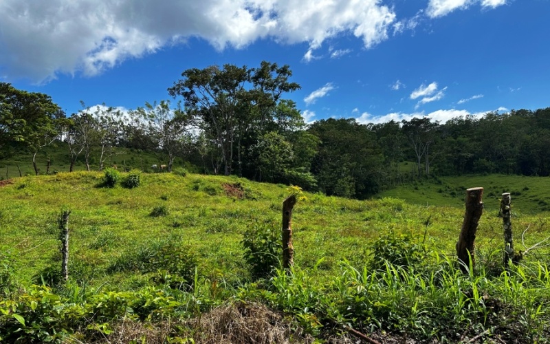 This charming 3,333 m² Cerro Verde Lot combines semi-flat topography with a hilltop location