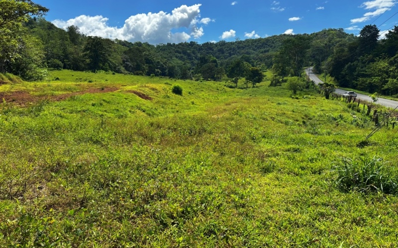 This charming 3,333 m² Cerro Verde Lot combines semi-flat topography with a hilltop location