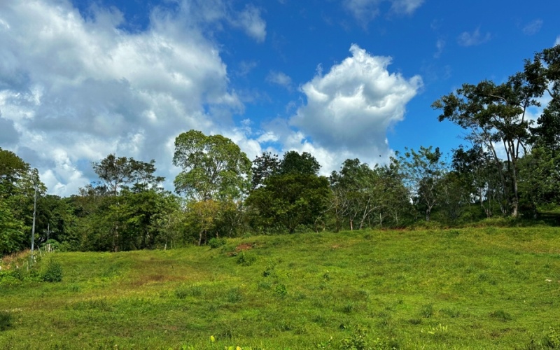 This charming 3,333 m² Cerro Verde Lot combines semi-flat topography with a hilltop location