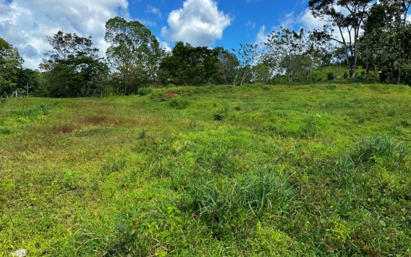 This charming 3,333 m² Cerro Verde Lot combines semi-flat topography with a hilltop location