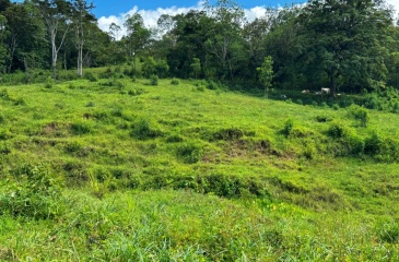 Tranquil Pasture , The location, 40 minutes from the legendary beaches of Pavones and Zancudo and only 20 minutes from Golfito