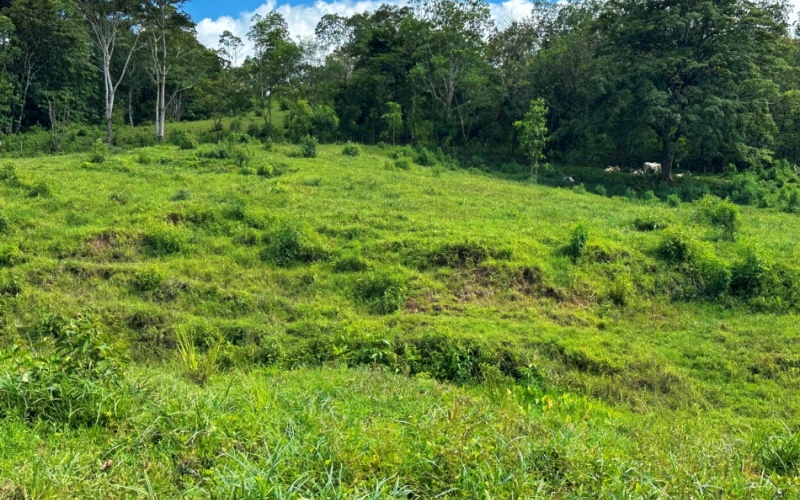 Tranquil Pasture , The location, 40 minutes from the legendary beaches of Pavones and Zancudo and only 20 minutes from Golfito