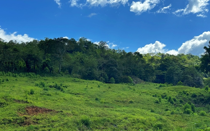 Tranquil Pasture , The location, 40 minutes from the legendary beaches of Pavones and Zancudo and only 20 minutes from Golfito