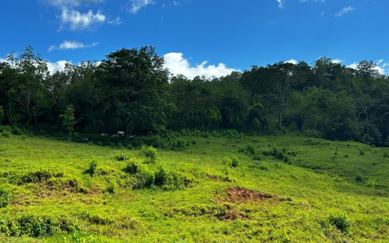 Tranquil Pasture , The location, 40 minutes from the legendary beaches of Pavones and Zancudo and only 20 minutes from Golfito