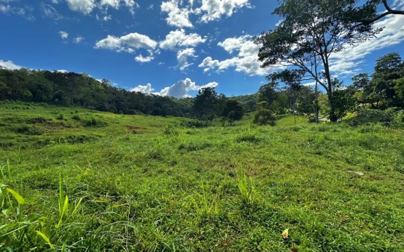 Tranquil Pasture , The location, 40 minutes from the legendary beaches of Pavones and Zancudo and only 20 minutes from Golfito