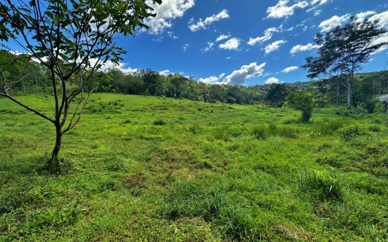 Tranquil Pasture , The location, 40 minutes from the legendary beaches of Pavones and Zancudo and only 20 minutes from Golfito