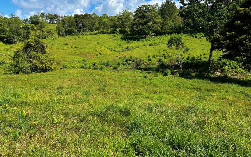 Tranquil Pasture , The location, 40 minutes from the legendary beaches of Pavones and Zancudo and only 20 minutes from Golfito