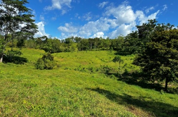 Green Pastures Paradise has a size of 3,595 m