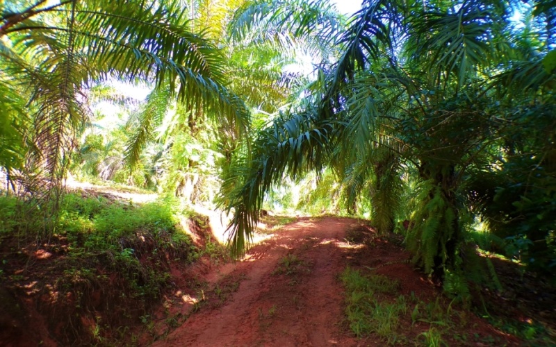 Campos Del Tropico Estate, This spectacular 224,692 m² property, located in La Virgen, is a natural treasure