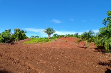 Campos Del Tropico Estate, This spectacular 224,692 m² property, located in La Virgen, is a natural treasure