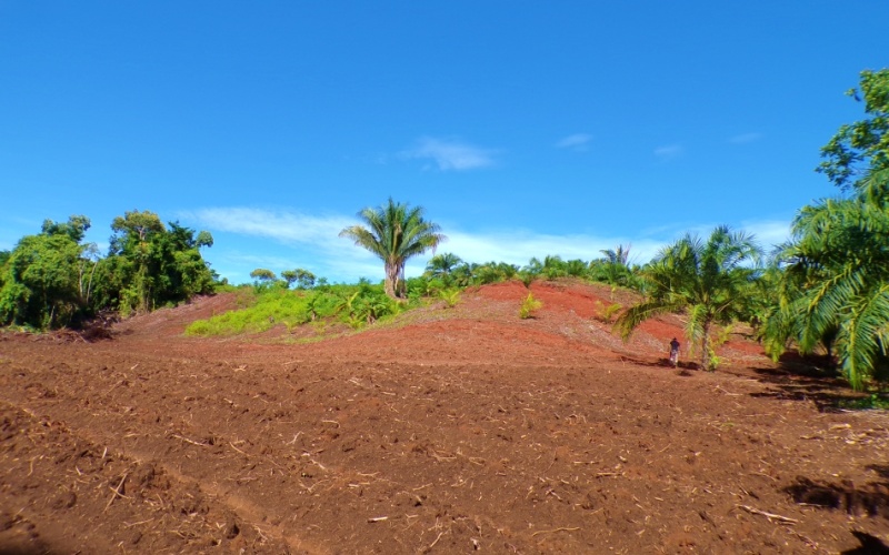 Campos Del Tropico Estate, This spectacular 224,692 m² property, located in La Virgen, is a natural treasure