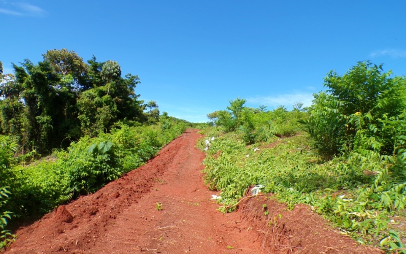 Campos Del Tropico Estate, This spectacular 224,692 m² property, located in La Virgen, is a natural treasure