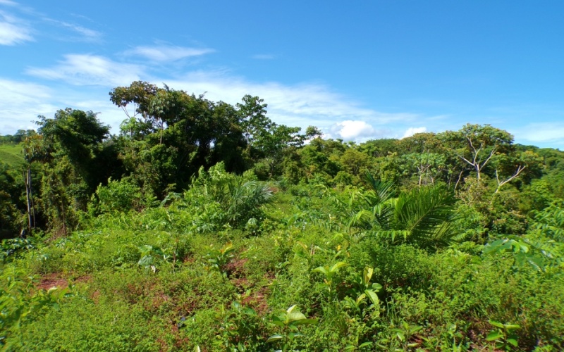 Campos Del Tropico Estate, This spectacular 224,692 m² property, located in La Virgen, is a natural treasure