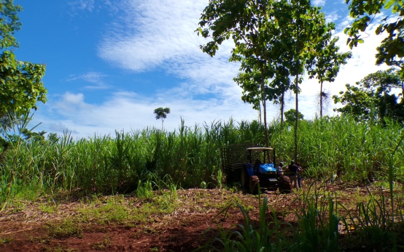 Campos Del Tropico Estate, This spectacular 224,692 m² property, located in La Virgen, is a natural treasure