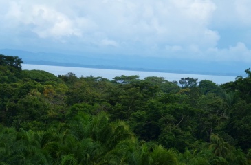 Finca for Sale in la Virgen - Entire Property or Individual Lots Available, Various Ocean and mountain views