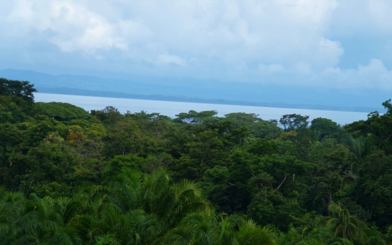 Finca for Sale in la Virgen - Entire Property or Individual Lots Available, Various Ocean and mountain views