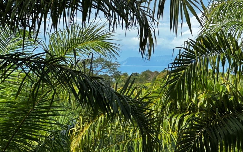 Finca for Sale in la Virgen - Entire Property or Individual Lots Available, Various Ocean and mountain views