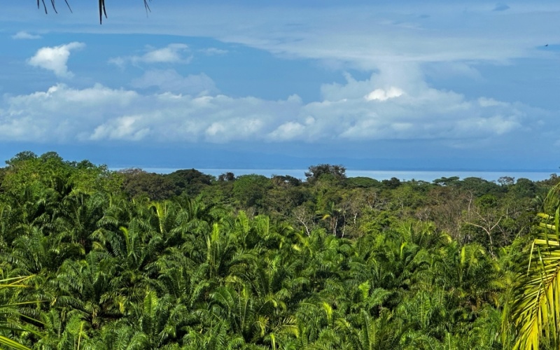 Finca for Sale in la Virgen - Entire Property or Individual Lots Available, Various Ocean and mountain views