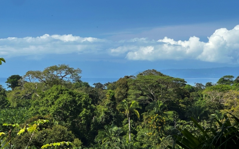 Finca for Sale in la Virgen - Entire Property or Individual Lots Available, Various Ocean and mountain views