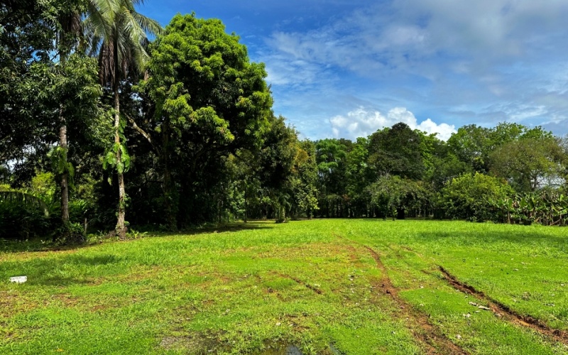 Large Lot in la Virgen with Endless Possibilities, This 10,093 m² property, located in La Virgen, boasts a completely flat topography