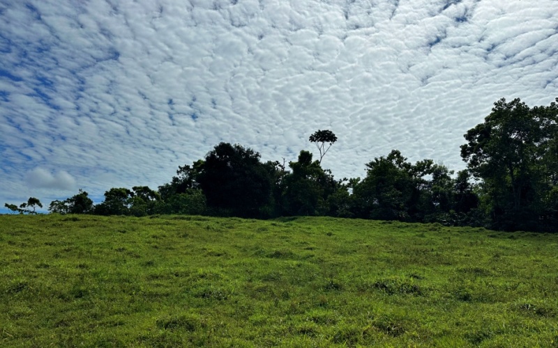 Blue Breezes Lot, This 7,638 m² lot, located in Cuervito de Pavones, offers direct access from a public road and boasts breathtaking ocean and mountain views