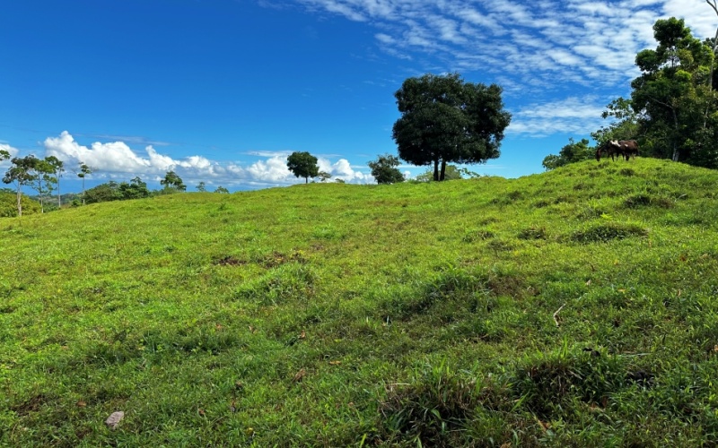 Blue Breezes Lot, This 7,638 m² lot, located in Cuervito de Pavones, offers direct access from a public road and boasts breathtaking ocean and mountain views