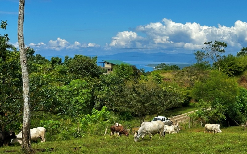 Blue Breezes Lot, This 7,638 m² lot, located in Cuervito de Pavones, offers direct access from a public road and boasts breathtaking ocean and mountain views