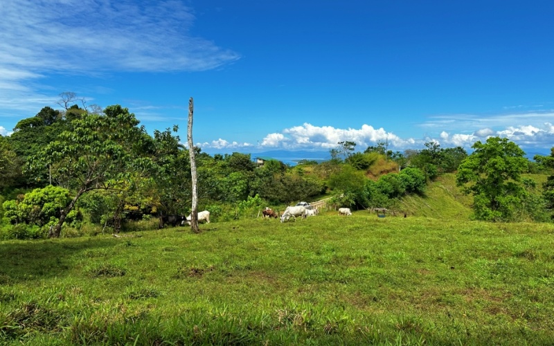 Blue Breezes Lot, This 7,638 m² lot, located in Cuervito de Pavones, offers direct access from a public road and boasts breathtaking ocean and mountain views