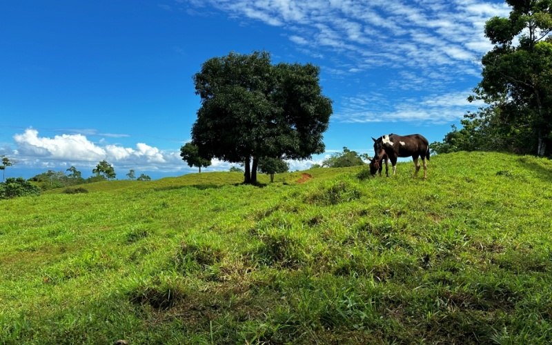 Blue Breezes Lot, This 7,638 m² lot, located in Cuervito de Pavones, offers direct access from a public road and boasts breathtaking ocean and mountain views