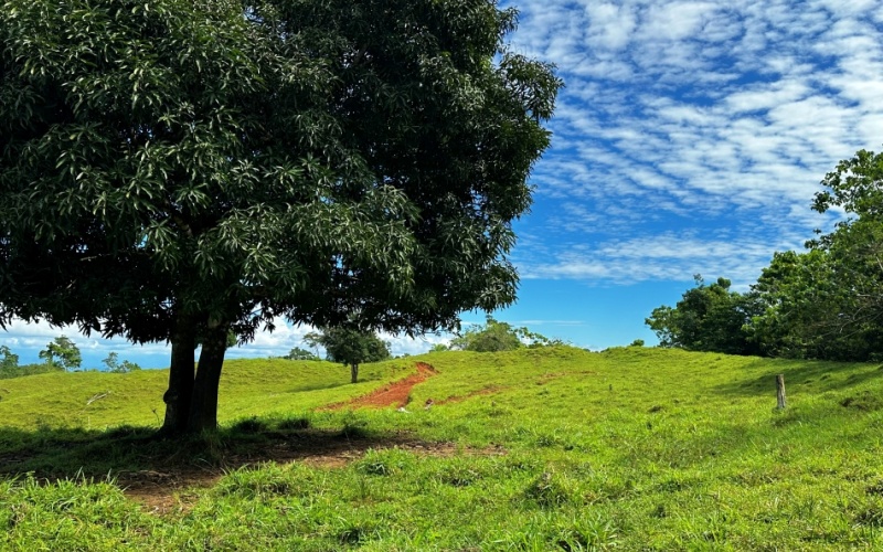 Blue Breezes Lot, This 7,638 m² lot, located in Cuervito de Pavones, offers direct access from a public road and boasts breathtaking ocean and mountain views