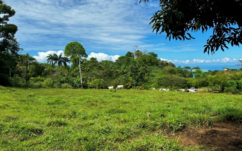 Blue Breezes Lot, This 7,638 m² lot, located in Cuervito de Pavones, offers direct access from a public road and boasts breathtaking ocean and mountain views