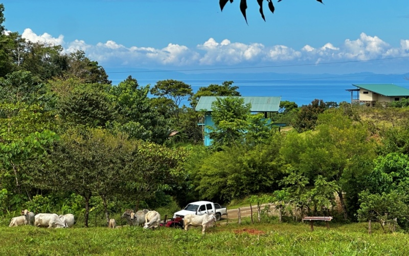 Blue Breezes Lot, This 7,638 m² lot, located in Cuervito de Pavones, offers direct access from a public road and boasts breathtaking ocean and mountain views