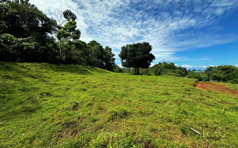 Blue Breezes Lot, This 7,638 m² lot, located in Cuervito de Pavones, offers direct access from a public road and boasts breathtaking ocean and mountain views