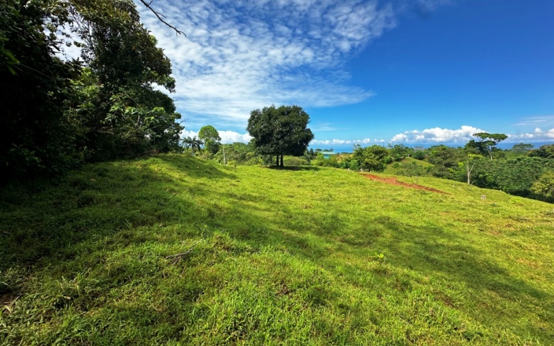 Blue Breezes Lot, This 7,638 m² lot, located in Cuervito de Pavones, offers direct access from a public road and boasts breathtaking ocean and mountain views