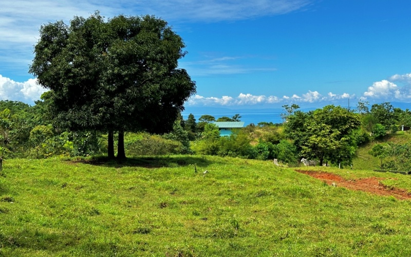 Blue Breezes Lot, This 7,638 m² lot, located in Cuervito de Pavones, offers direct access from a public road and boasts breathtaking ocean and mountain views