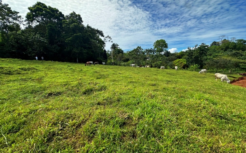 Blue Breezes Lot, This 7,638 m² lot, located in Cuervito de Pavones, offers direct access from a public road and boasts breathtaking ocean and mountain views