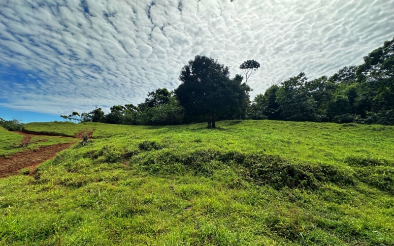 Blue Breezes Lot, This 7,638 m² lot, located in Cuervito de Pavones, offers direct access from a public road and boasts breathtaking ocean and mountain views