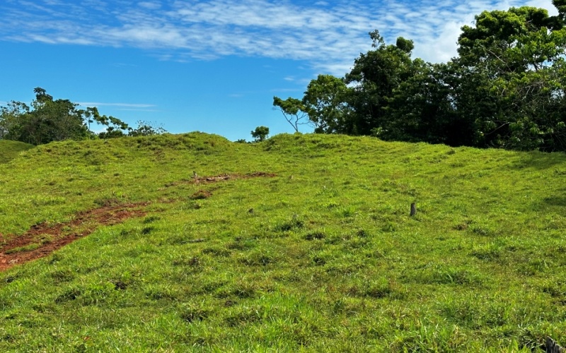 Breezes Paradise Lot With 5,924 m², this lot in Cuervito de Pavones combines tranquility and privacy with the charm of being surrounded by nature