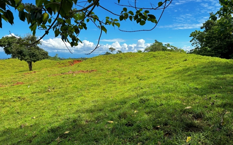 Breezes Paradise Lot With 5,924 m², this lot in Cuervito de Pavones combines tranquility and privacy with the charm of being surrounded by nature