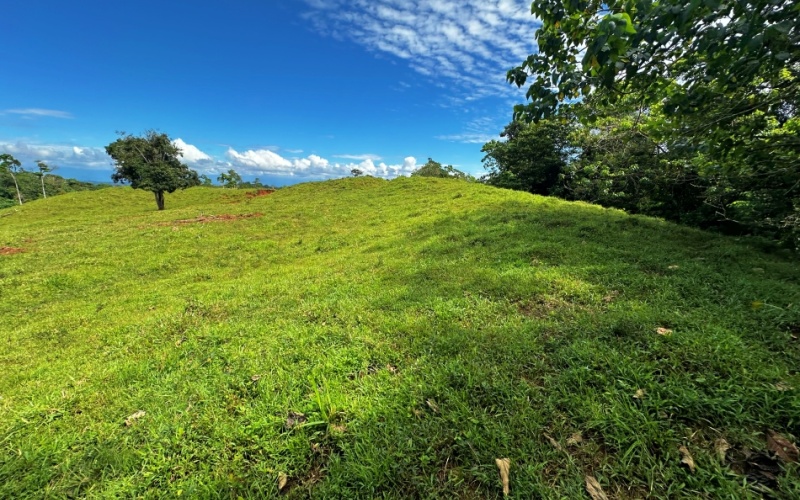 Breezes Paradise Lot With 5,924 m², this lot in Cuervito de Pavones combines tranquility and privacy with the charm of being surrounded by nature