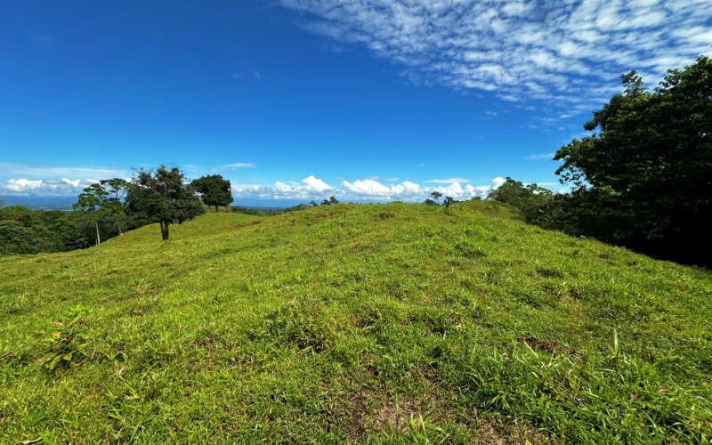 Breezes Paradise Lot With 5,924 m², this lot in Cuervito de Pavones combines tranquility and privacy with the charm of being surrounded by nature